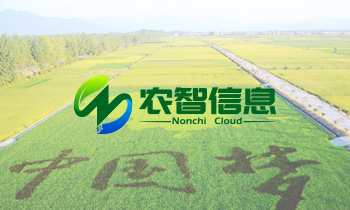 农智信息技术logo设计